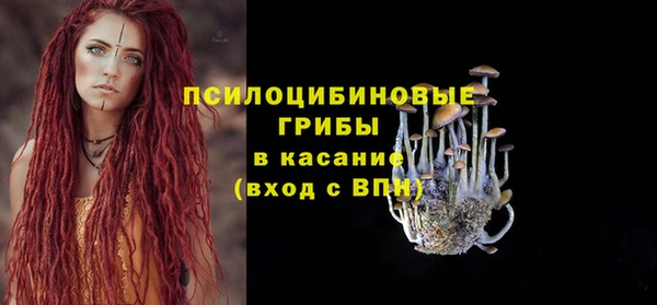 винт Майский