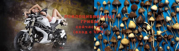 гашишное масло Медвежьегорск