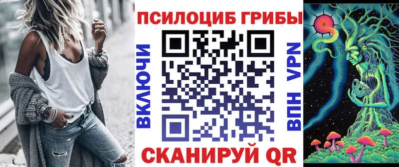 Галлюциногенные грибы прущие грибы  закладка  Кашин 